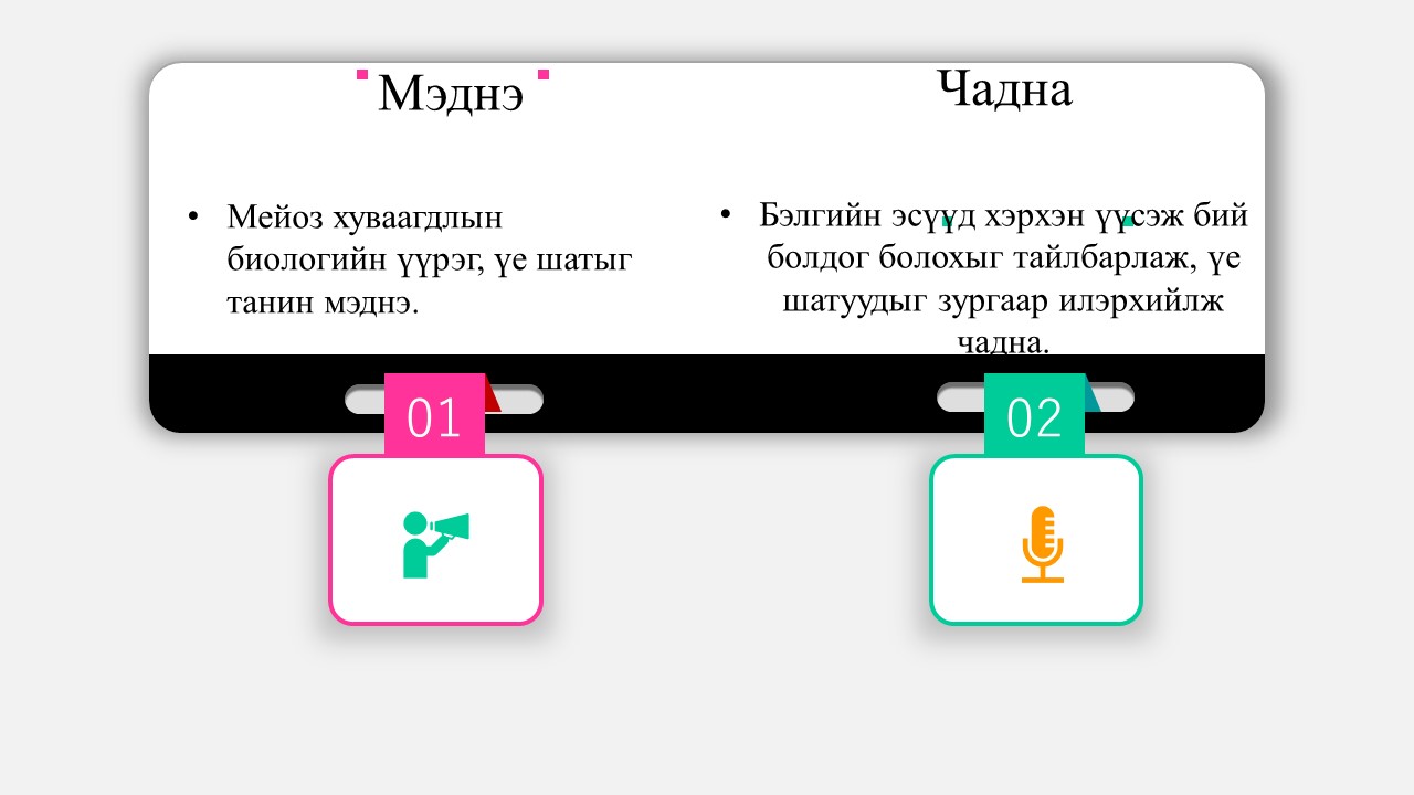 Мэдлээ | Цахим контент